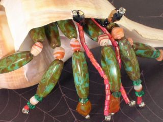 Tropical Hermit Crab Sea Shell Snail Figurine Knick Knack Pet
