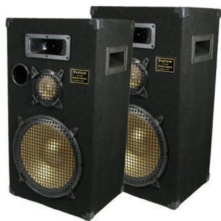 Deluxe New Karaoke DJ PA Monitor Home Speakers PPB12