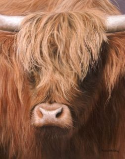 Highland Cow Original Rachel Stribbling Oil Painting