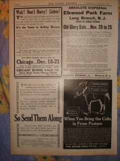 1916 Long Branch New Jersey Antique Horse Print RARE