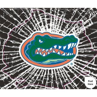 NCAA Florida Gators Shattered Mini Cutz Window Decal
