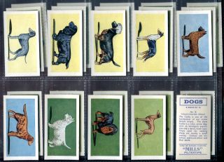 Tobacco Card Set Mills Dogs Various Pedigree Breed 1958