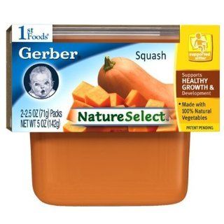 Gerber 1 st 100% Natural NatureSelect Foods Baby Foods Squash (2) 2.5