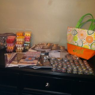 Scentsy Huge Consultant Lot