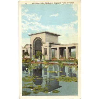 1920s Vintage Postcard   Lily Pond and Pavilion   Douglas