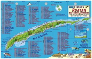 Franko Maps ROATAN Island Honduras Fish Reef Creature ID Card