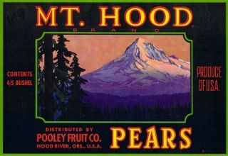 MT Hood Vintage Pear Crate Label Hood River Or