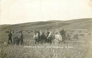  North Dakota RPPC Farmer Harvesting Wheat Horse Drawn Equipment