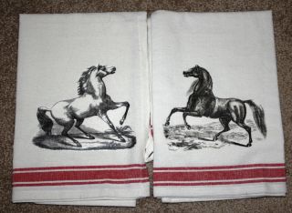 Black and White Horse Dish Towels