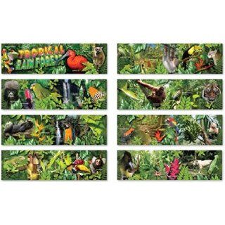 Carson Dellosa Tropical Rain Forest Mini Bulletin Board