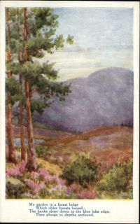 The Woodland Series by Flora Pilkington Postcard