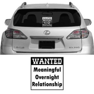 Wanted Meaningful Overnight Relationship   Vehicle Decal