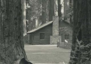 CA Humboldt State Park RPPC 1933 Lodge Cabin Store Redwood Hwy by