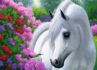 White Arabian Horse Hummingbird Azaleas Flowers Limited Edition ACEO
