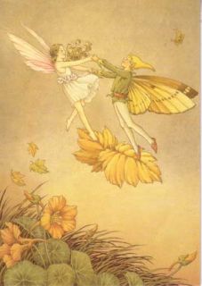 Ida Rentoul Outhwaite Greeting Cards Fairies Folio New