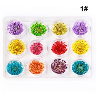 EUR € 6.61   12 soorten gedroogde bloem nail art decoratie, Gratis