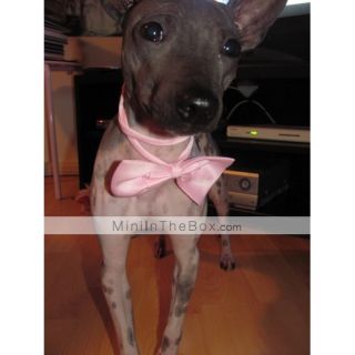 Elegant Adjustable Bowtie Collar Necklace for Dogs (Random Colors