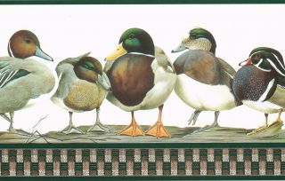  Types of Ducks Office Den 9 inches Wallpaper Border Wall