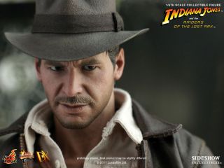 Indiana Jones   DX Series Product Photo