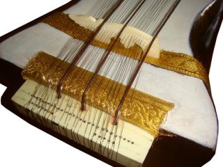the sarangi is a very common indian classical music instrument and