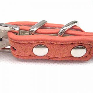 Diamond Style Adjustable Dog Collar (Small 37cm, Assorted Colors