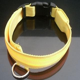  Nacht Sicherheits LED Hundehalsband (40 50cm, farbig sortiert