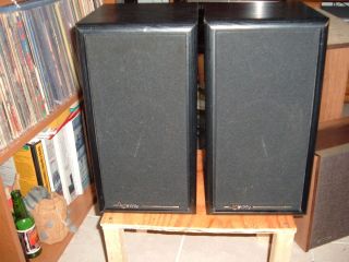 Infinity Speakers Model RS 325 Just Refoamed