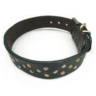  Adjustable Dog Collar (52 x 3cm, Black), Gadgets