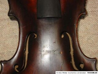 Nice Old Violin Nice Flamed Jacobus Stainer 1PART Back Full Blocked