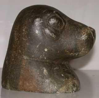 Early Inuit Stone Carving Seal Head 1950 60S