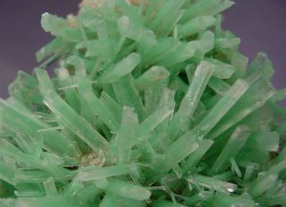 Our Finest Green Phantom Selenite Crystal Group