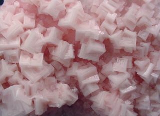 Huge Gallery Size 10 inch Top World Class Pink Halite Crystal Cluster