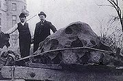 The Willamette Meteorite , the largest ever to be found in the United