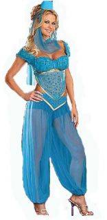 Bollywood Jasmine Genie Arabian Nights Costume Exp Post