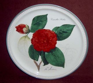 Villeroy Boch Nicholas Liex Red Rubra Camellia Plate