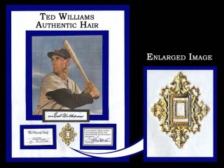 Ted Williams Authentic Hair Greatest Hitter of All Time  