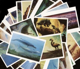William Stout Set of 26 Postcards 1990 Dinosaurs Antarctic Reptiles Extinct  