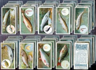 Tobacco Card Set WD HO Wills FISH BAIT Freshwater Coarse Fishing 1910  