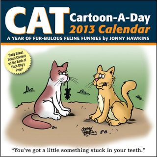 Cat Cartoon A Day 2013 Desk Calendar  