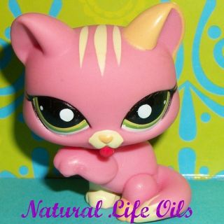 Littlest Pet Shop 1562 Paw Lickin Strawberry Pink Kitty Cat B169 LPS