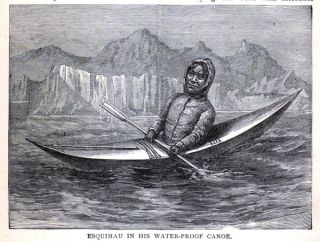 KAYAK Greenland Inuit Eskimo Resting Kayaking, Nice Antique 1896 Print
