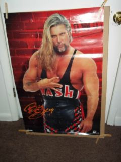 WCW Kevin Nash NWO Poster