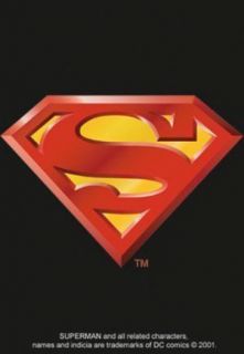 DC Comics Superman Logo Mirror Keychain 65057KEY