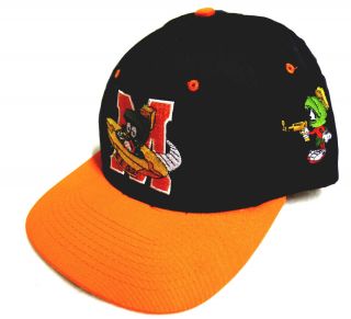 Vintage 1993 Looney Tunes Baseball Cap Snapback Embroidered Marvin the