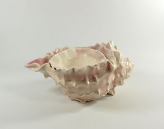 Large Seashell Conch Self Watering African Violet Pot Planter Pink
