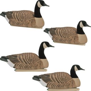 Avery Greenhead Gear Life Size Canada Goose Floater (Active) 4 PACK