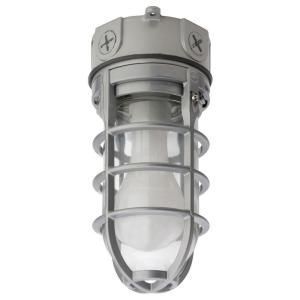 Lithonia Lighting Flush Mount Vapor Tight Incandescent Light Fixture