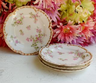 Antique Haviland Limoges Porcelain Dessert Plates Pink Floral Gold
