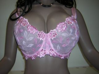 Sexy Glamour See thru Sheer Underwire Pink Bra 42D 42 D