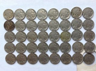 Buffalo Indian Head Nickels Lot of 40